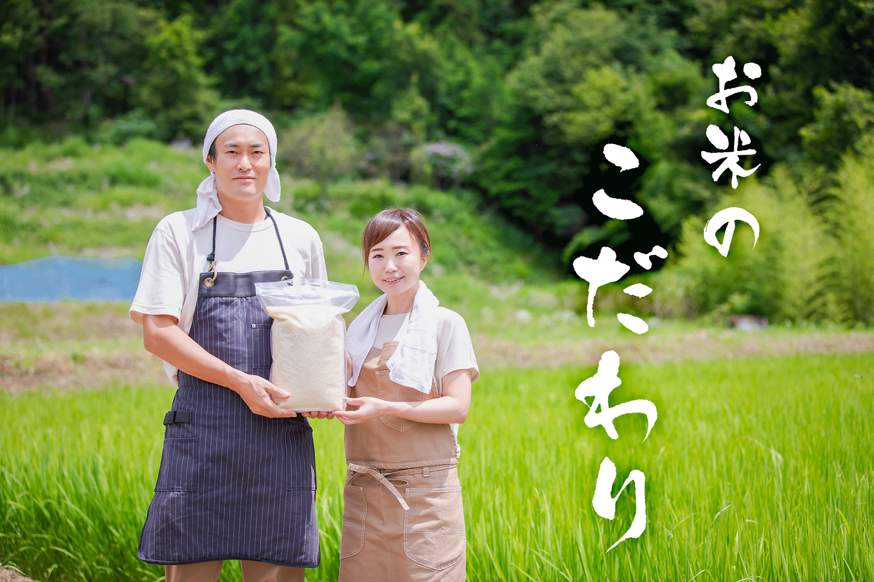 千里屋流お米のこだわり